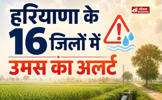 हरियाणा में मानसून कमजोर और 16 जिलों में उमस का यलो अलर्ट